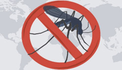 Travelers encouraged to take precautions against mosquito-borne disease -  News - Knox County Tennessee Government